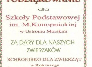 Pomogliśmy zwierzakom ze schroniska